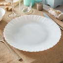 Lot De 6 Assiettes Plats Opale ENDOURA 30 Cm
