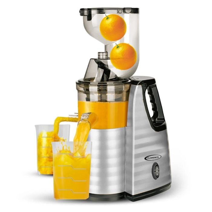 Centrifugeuse Florence HK423 - 300W - Silver