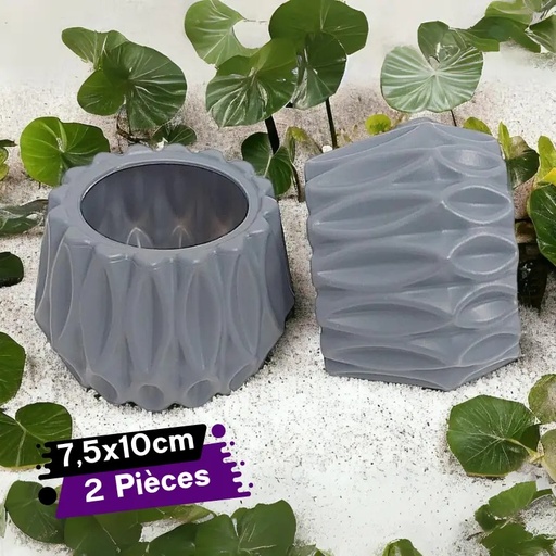 Ensemble de Deux Pots pour Plantes ou Pour Arrangement MOTIEV